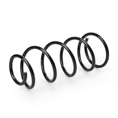 Suspension Spring RIDEX 188C0989 188C0989 - photo 3