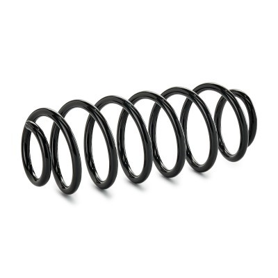 Suspension Spring RIDEX 188C1206 188C1206 - photo 2