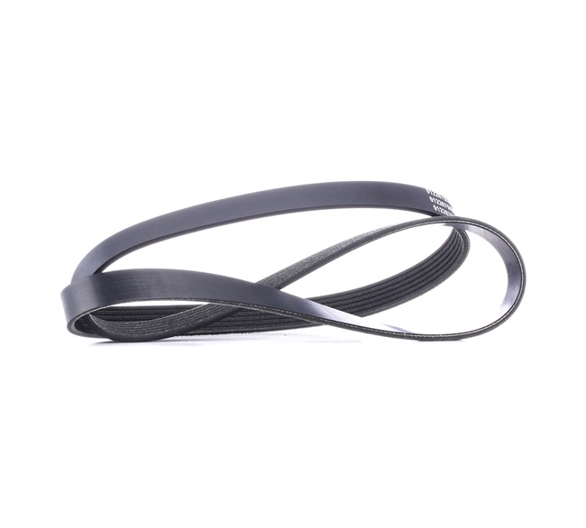 V-Ribbed Belt Stark SKPB-0090081 SKPB-0090081 - photo 1