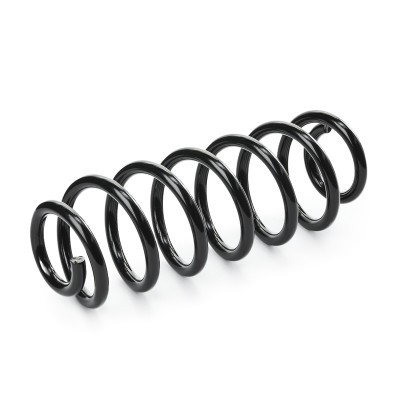 Suspension Spring RIDEX 188C0648 188C0648 - photo 3