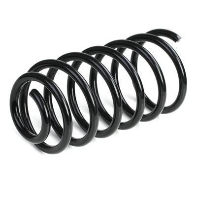 Suspension Spring RIDEX 188C0219 188C0219 - photo 4