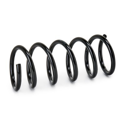 Suspension Spring RIDEX 188C0952 188C0952 - photo 2