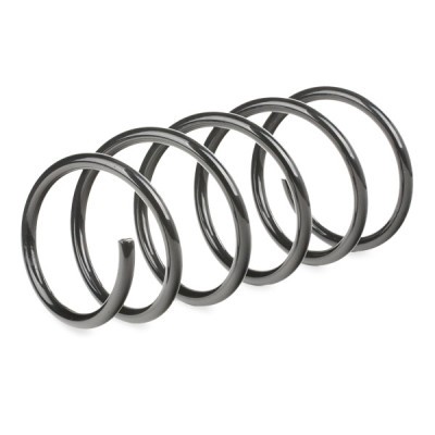 Suspension Spring RIDEX 188C0211 188C0211 - photo 3