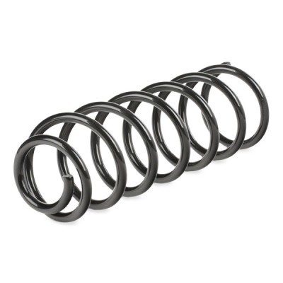 Suspension Spring RIDEX 188C0231 188C0231 - photo 3