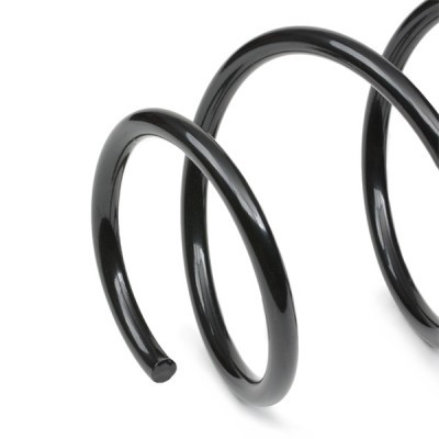 Suspension Spring RIDEX 188C0824 188C0824 - photo 4
