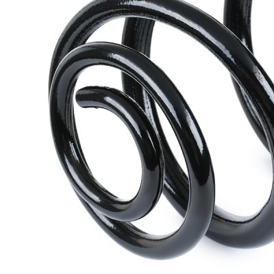 Suspension Spring RIDEX 188C0509 188C0509 - photo 4