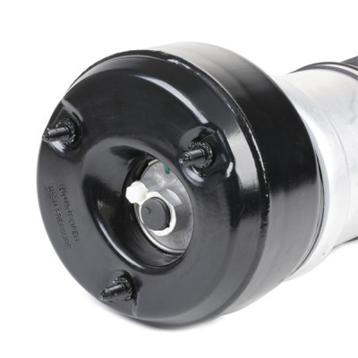 Bellow, Air Suspension RIDEX 4118A0031 4118A0031 - photo 4