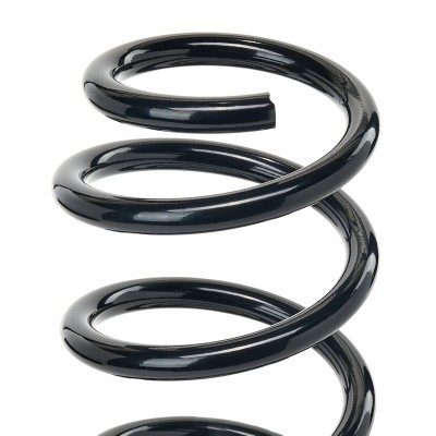 Suspension Spring RIDEX 188C2421 188C2421 - photo 3