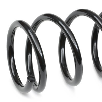 Suspension Spring RIDEX 188C1000 188C1000 - photo 4