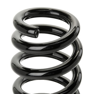 Suspension Spring RIDEX 188C1076 188C1076 - photo 3