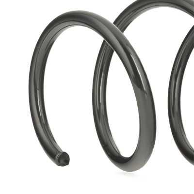Suspension Spring RIDEX 188C0073 188C0073 - photo 4