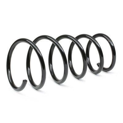 Suspension Spring RIDEX 188C0892 188C0892 - photo 3