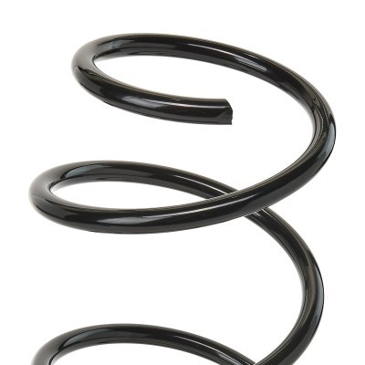 Suspension Spring RIDEX 188C0042 188C0042 - photo 3
