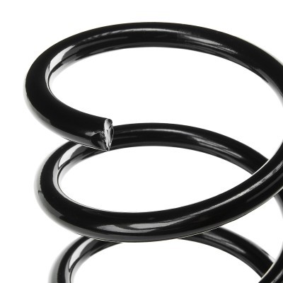 Suspension Spring RIDEX 188C0960 188C0960 - photo 4