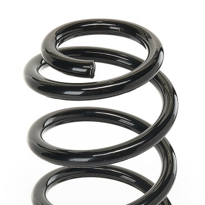 Suspension Spring RIDEX 188C0359 188C0359 - photo 4