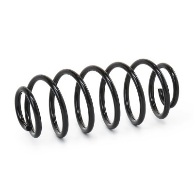 Suspension Spring RIDEX 188C0355 188C0355 - photo 3