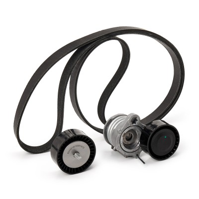 Drive Belt Kit RIDEX 542R0174P 542R0174P - photo 9