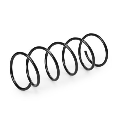 Suspension Spring RIDEX 188C1155 188C1155 - photo 3