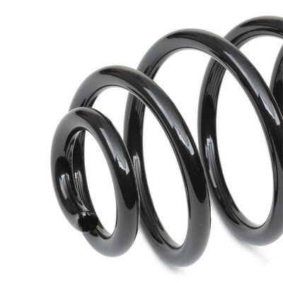 Suspension Spring RIDEX 188C0597 188C0597 - photo 4