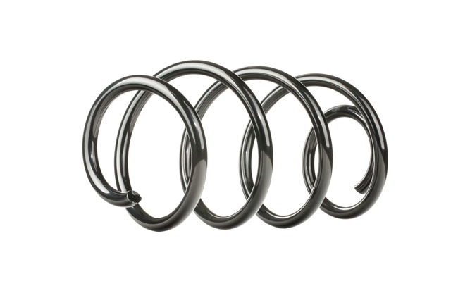 Suspension Spring RIDEX 188C0167 188C0167 - photo 1