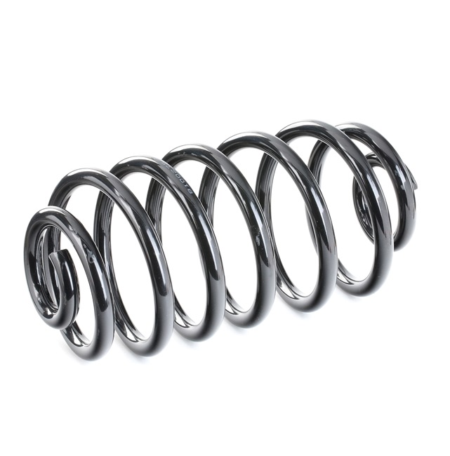 Suspension Spring RIDEX 188C0061 188C0061 - photo 1