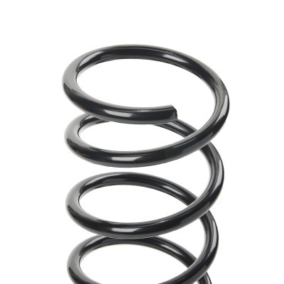 Suspension Spring RIDEX 188C0979 188C0979 - photo 4