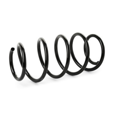 Suspension Spring RIDEX 188C1748 188C1748 - photo 2