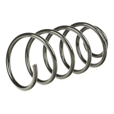 Suspension Spring RIDEX 188C0322 188C0322 - photo 3