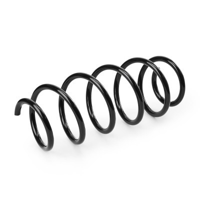 Suspension Spring RIDEX 188C1141 188C1141 - photo 3