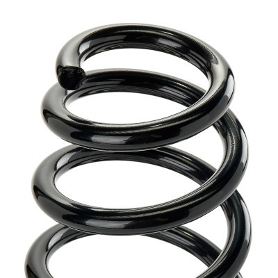 Suspension Spring RIDEX 188C0641 188C0641 - photo 4