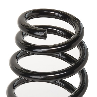 Suspension Spring RIDEX 188C0866 188C0866 - photo 3