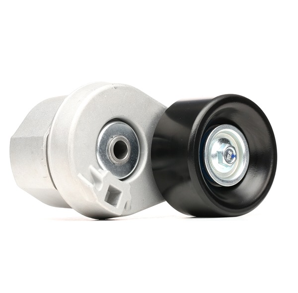Belt Tensioner V-Ribbed Belt RIDEX 310T0356 310T0356 - photo 1