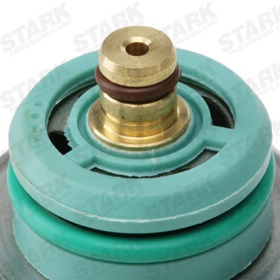 Fuel Pressure Regulator Stark SKCVF-2900007 SKCVF-2900007 - photo 5
