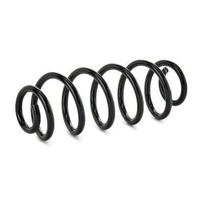 Suspension Spring RIDEX 188C1089 188C1089 - photo 2