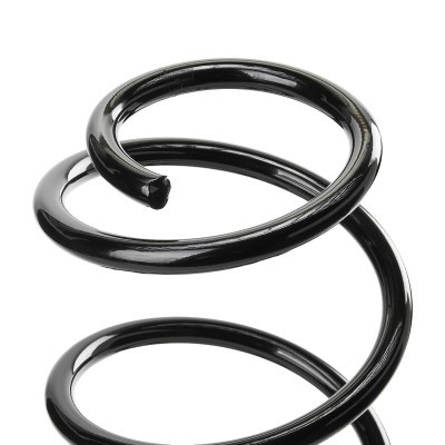 Suspension Spring RIDEX 188C0989 188C0989 - photo 4