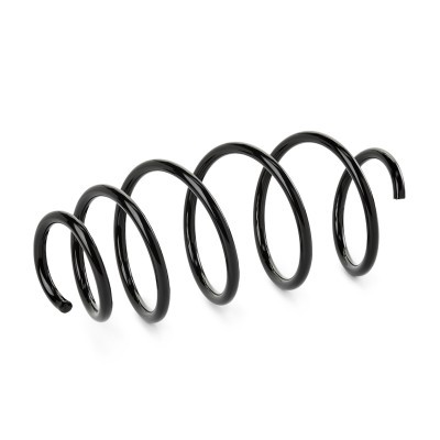 Suspension Spring RIDEX 188C1513 188C1513 - photo 2