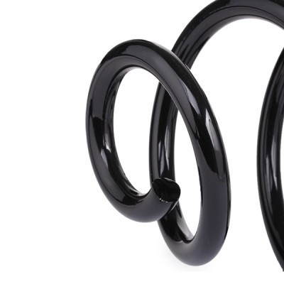 Suspension Spring RIDEX 188C0782 188C0782 - photo 4