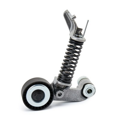 Belt Tensioner V-Ribbed Belt RIDEX 310T0423 310T0423 - photo 3