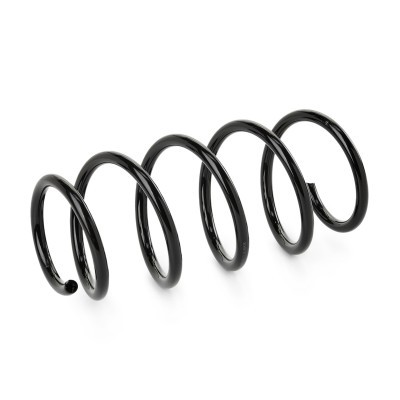 Suspension Spring RIDEX 188C0832 188C0832 - photo 2