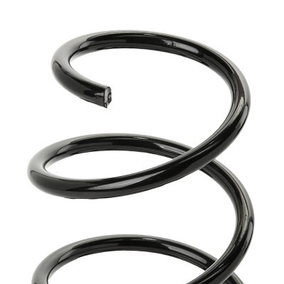 Suspension Spring RIDEX 188C1954 188C1954 - photo 3