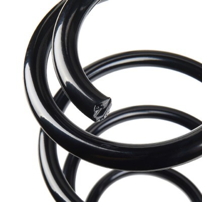 Suspension Spring RIDEX 188C0835 188C0835 - photo 4