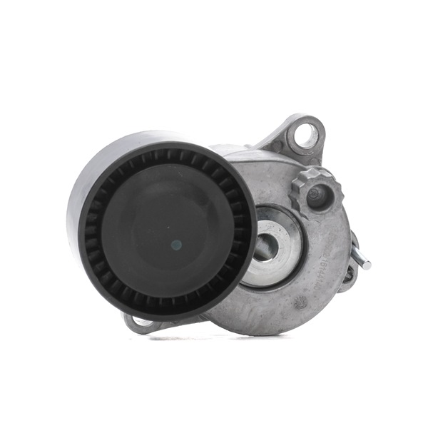 Belt Tensioner V-Ribbed Belt RIDEX 310T0393 310T0393 - photo 1