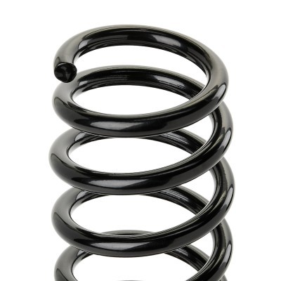 Suspension Spring RIDEX 188C0902 188C0902 - photo 3