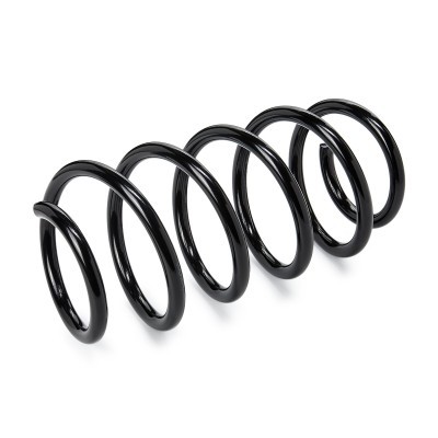 Suspension Spring RIDEX 188C0403 188C0403 - photo 2