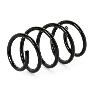 Suspension Spring RIDEX 188C1021 188C1021 - photo 3