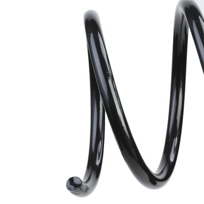 Suspension Spring RIDEX 188C0002 188C0002 - photo 4