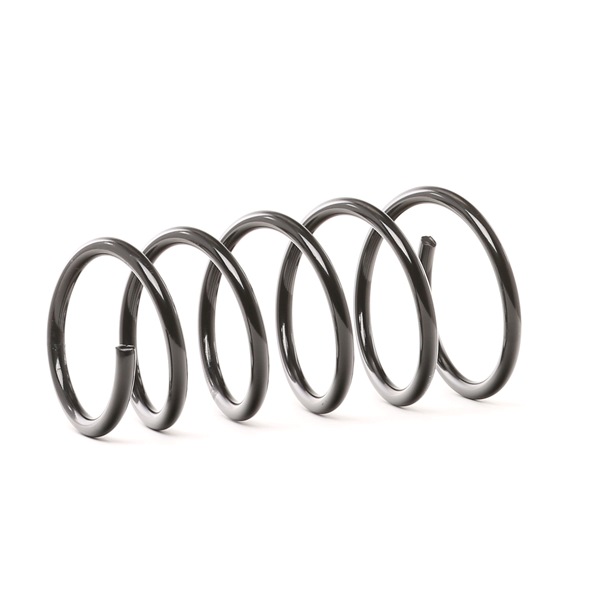 Suspension Spring RIDEX 188C0111 188C0111 - photo 1