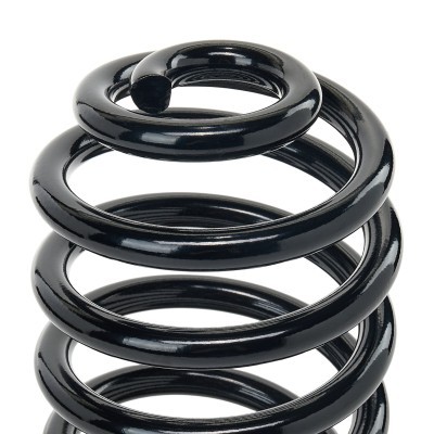 Suspension Spring RIDEX 188C3848 188C3848 - photo 3