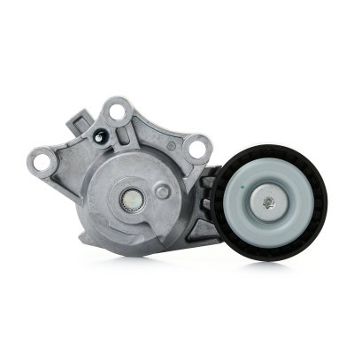 Belt Tensioner V-Ribbed Belt RIDEX 310T0653 310T0653 - photo 5