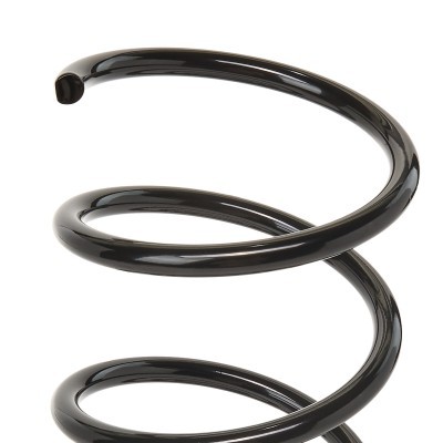 Suspension Spring RIDEX 188C0110 188C0110 - photo 5